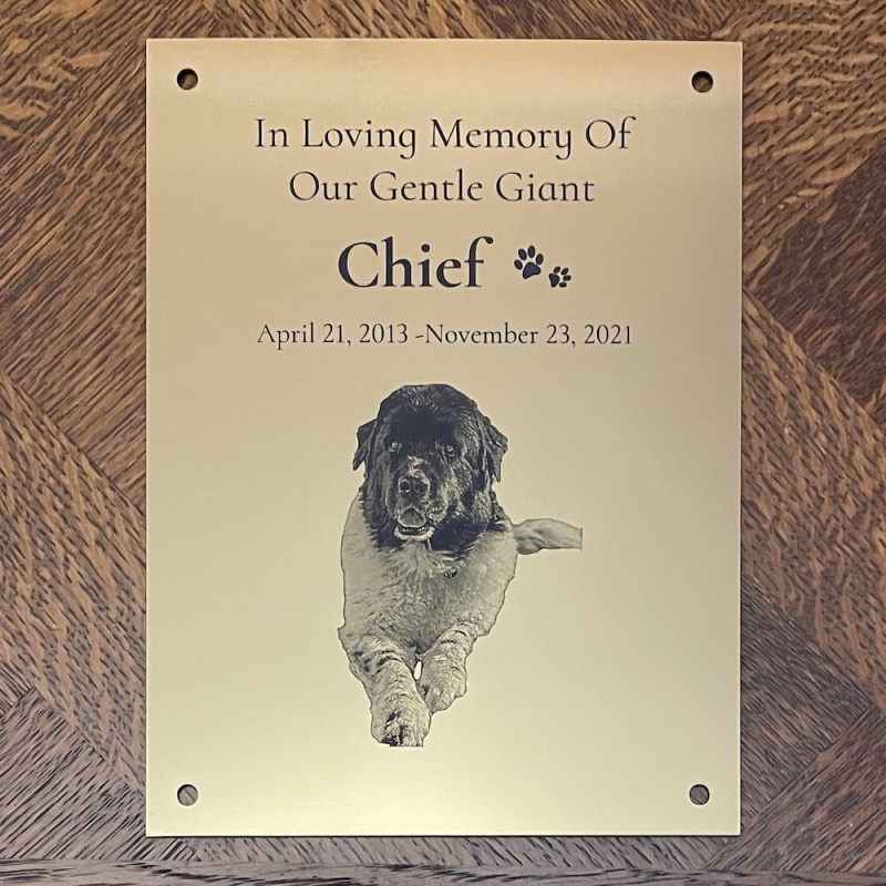 Memorial plaque in remembrance Dog Cat Pet plaque with photograph personalised custom size memorial plaques 15 x 20 cm 5.9 x 7.87 inch various colours